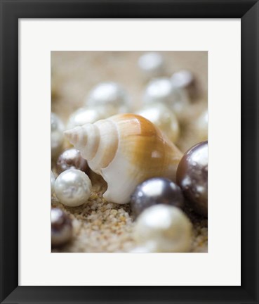 Framed Sea Jewels I Print