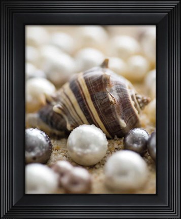 Framed Sea Jewels II Print