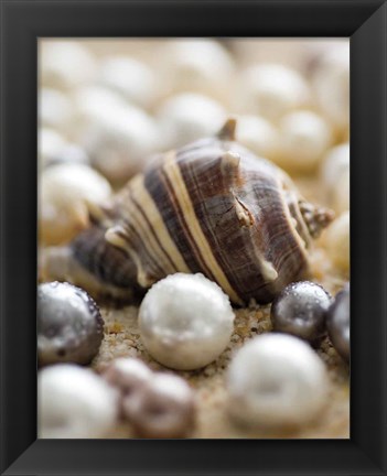 Framed Sea Jewels II Print