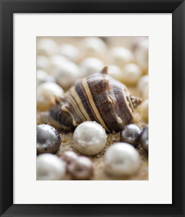 Framed Sea Jewels II Print