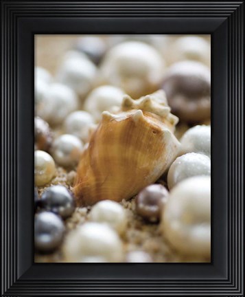 Framed Sea Jewels III Print