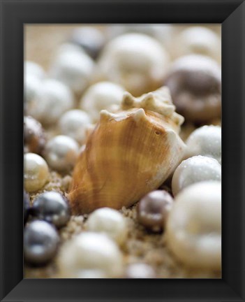 Framed Sea Jewels III Print