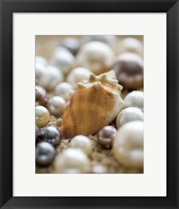 Framed Sea Jewels III Print