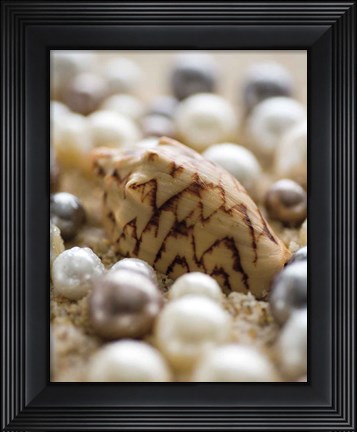 Framed Sea Jewels IV Print