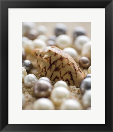 Framed Sea Jewels IV Print