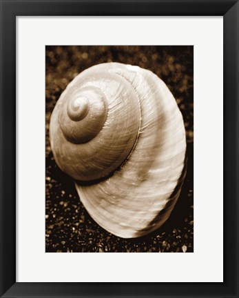 Framed Sea Gallery II Print