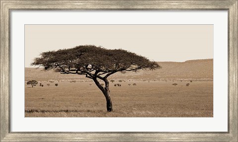 Framed Serengeti Horizons I Print