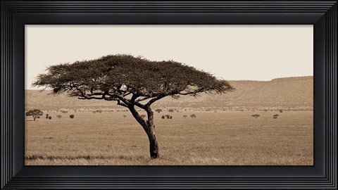 Framed Serengeti Horizons I Print