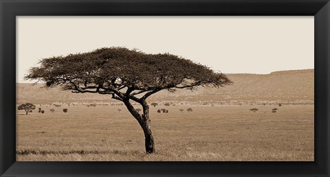 Framed Serengeti Horizons I Print