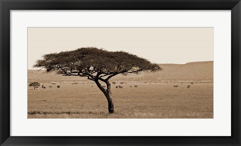 Framed Serengeti Horizons I Print