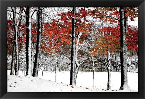 Framed SnowFall Print