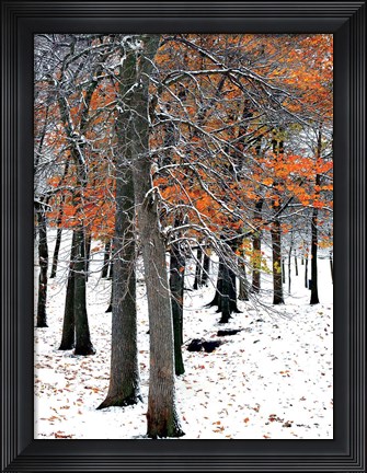 Framed SnowFall II Print