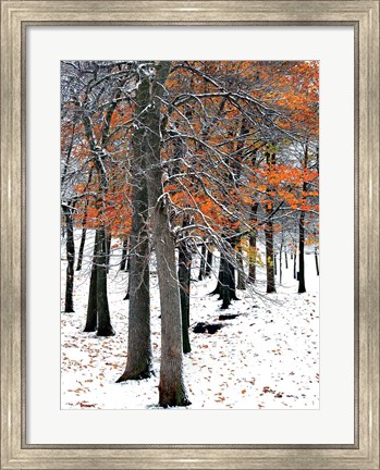 Framed SnowFall II Print