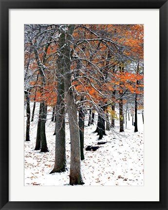 Framed SnowFall II Print