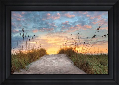 Framed Over The Top Print