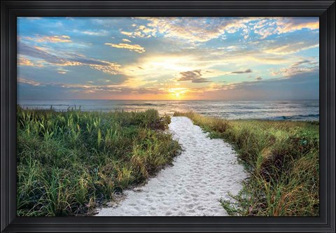 Framed Morning Trail Print