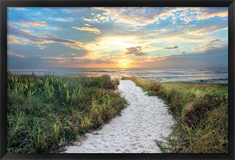 Framed Morning Trail Print