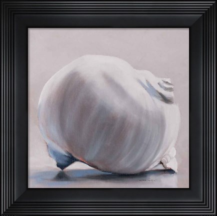 Framed Moon Snail Print