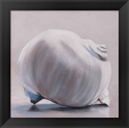 Framed Moon Snail Print