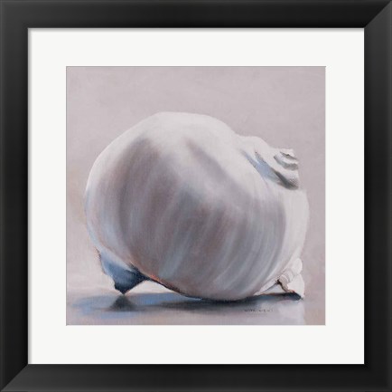 Framed Moon Snail Print
