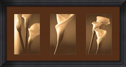 Framed Enlightenment Print