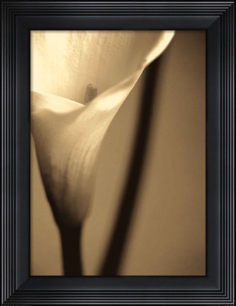 Framed Divinity I Print