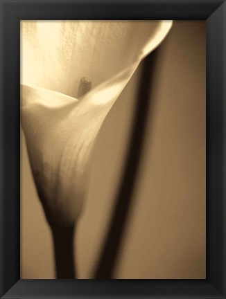 Framed Divinity I Print