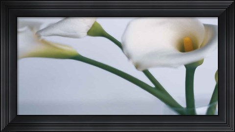 Framed Springplicity I Print