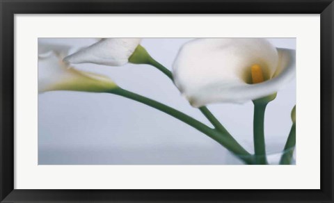 Framed Springplicity I Print