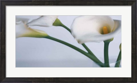 Framed Springplicity I Print