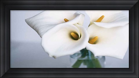 Framed Springplicity II Print