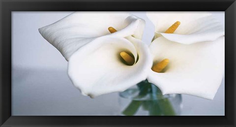 Framed Springplicity II Print