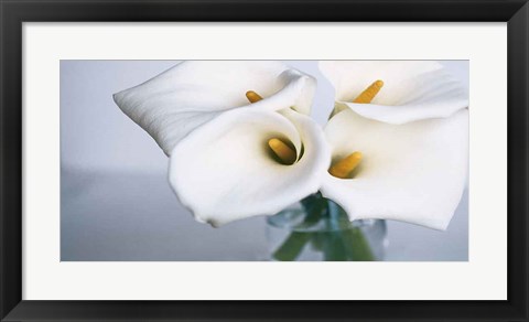 Framed Springplicity II Print