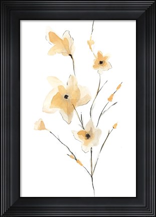 Framed Morning Glory II Print