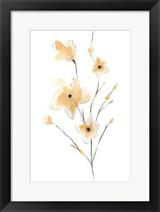 Framed Morning Glory II Print