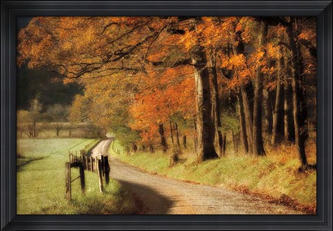 Framed Autumn&#39;s Morning Light Print