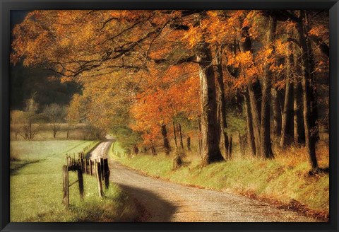 Framed Autumn&#39;s Morning Light Print