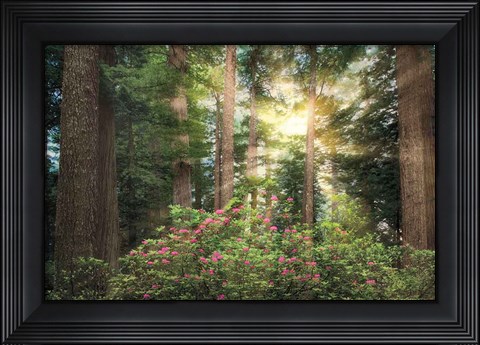 Framed Rise &#39;n&#39; Shine Print