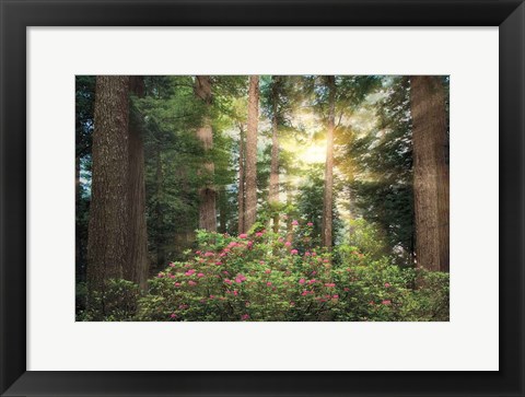 Framed Rise &#39;n&#39; Shine Print