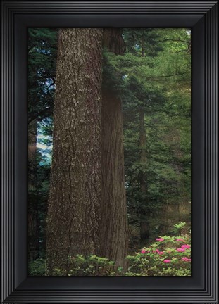 Framed Rise &#39;n&#39; Shine I Print