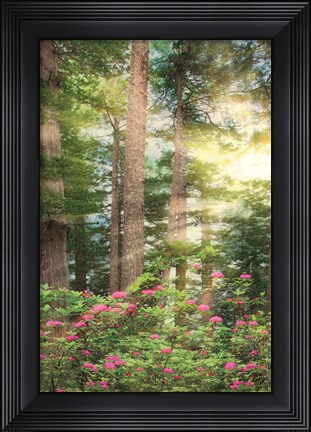 Framed Rise &#39;n&#39; Shine II Print