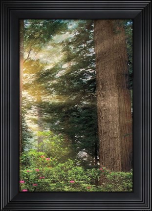 Framed Rise &#39;n&#39; Shine III Print