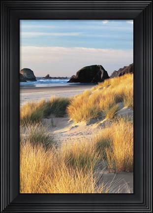 Framed Dune Grass And Beach II Print