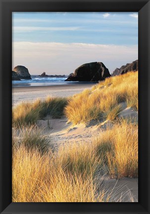 Framed Dune Grass And Beach II Print