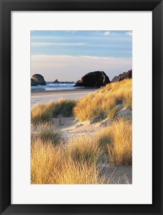 Framed Dune Grass And Beach II Print