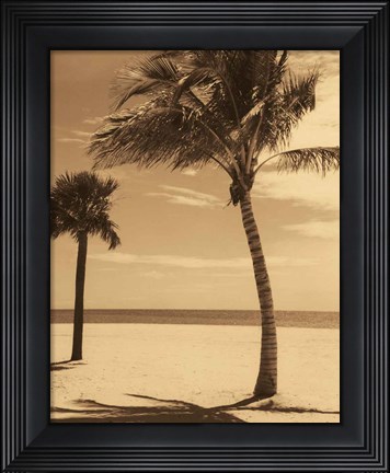 Framed Palm Beach I Print