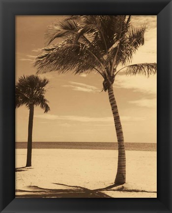 Framed Palm Beach I Print