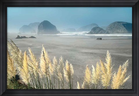 Framed Pampas Beach Print