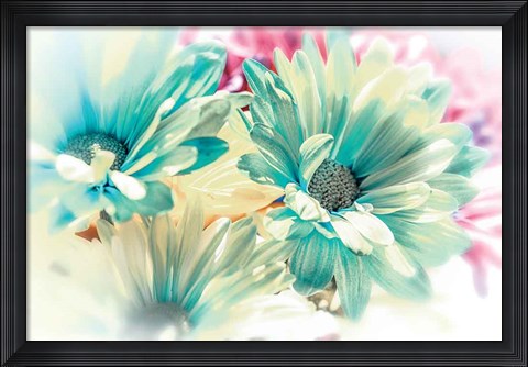 Framed Color Full Print
