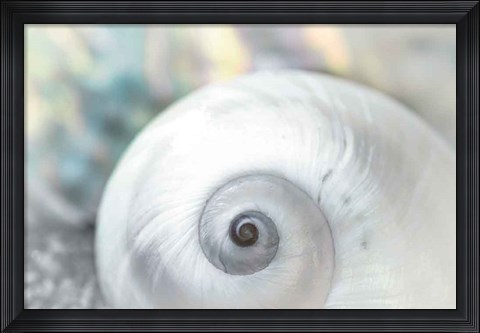 Framed Pearl Lite Print